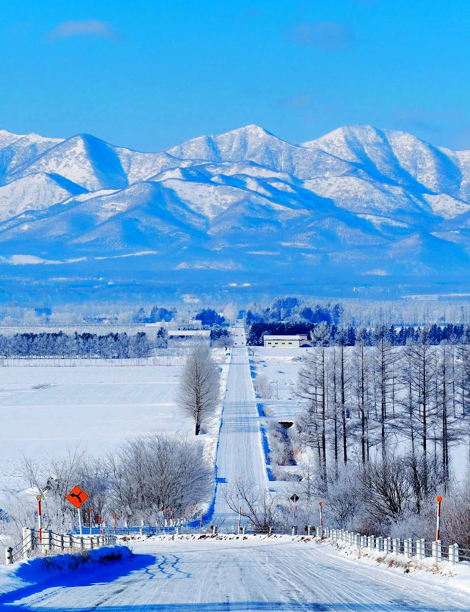 北海道雪景